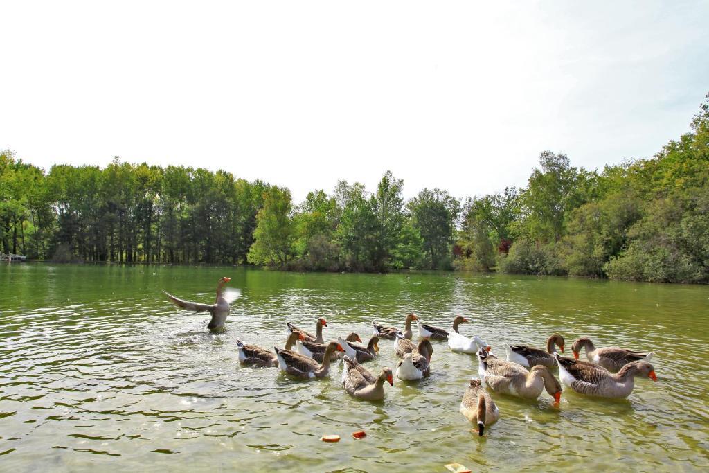 Auberge De L'Etang Bleu Hotel Vieux-Mareuil Szoba fotó