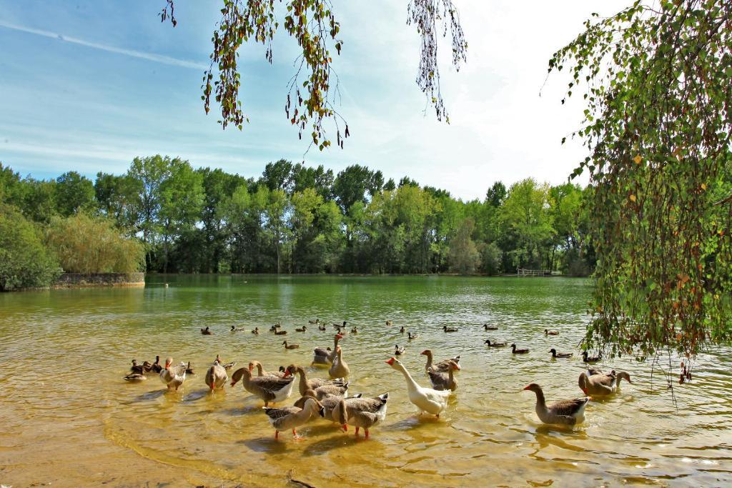 Auberge De L'Etang Bleu Hotel Vieux-Mareuil Szoba fotó