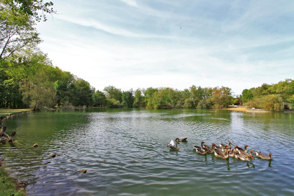 Auberge De L'Etang Bleu Vieux-Mareuil Szoba fotó