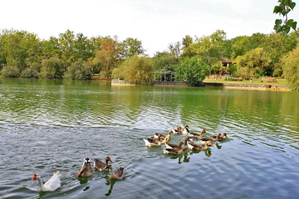 Auberge De L'Etang Bleu Hotel Vieux-Mareuil Szoba fotó