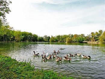 Auberge De L'Etang Bleu Hotel Vieux-Mareuil Kültér fotó